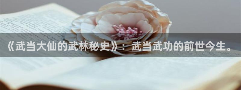 动漫漫画之家：《武当大仙的武林秘史》：武当武功的前世今生。