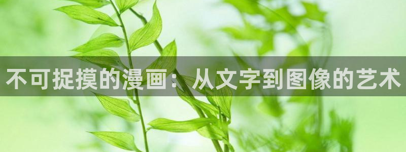 漫画之家免费漫画官网入口页面：不可捉摸的漫画：从文字到图像的艺术